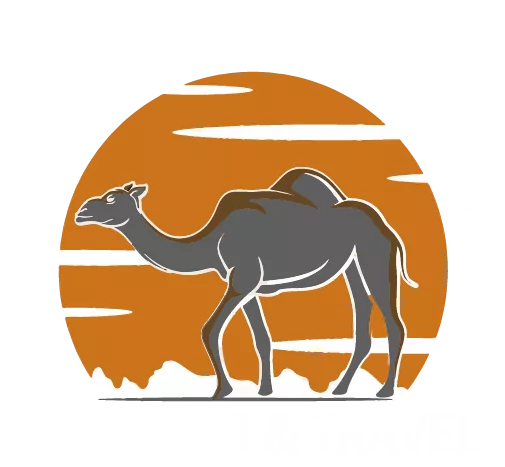 Culture Hub Travel & Tourism